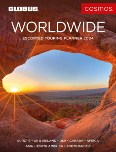 Cosmos 2024 Brochure